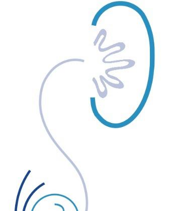 Dr. Claudio Enrique Merayo Chalico