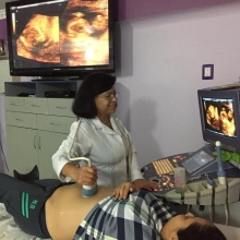 Dr. Maricela Espinosa Picazo