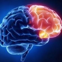 Irma Leticia Candelaria Zavala