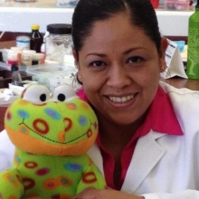 Dr. Ma. Georgina López Jiménez