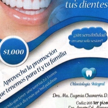 Dr. María Eugenia Chavarría Domínguez