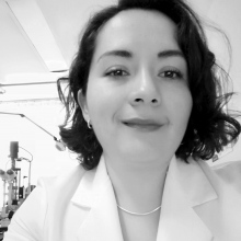 Dr. Ruth Georgina Navarrete Ortega