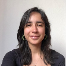 Dr. Sofía Sánchez López-Santibáñez