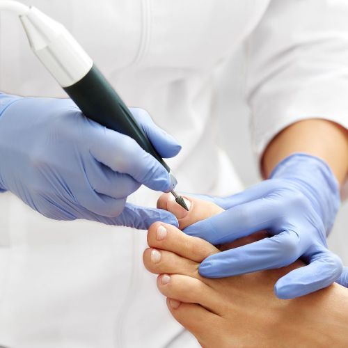 Dr. Patricia Herrera López