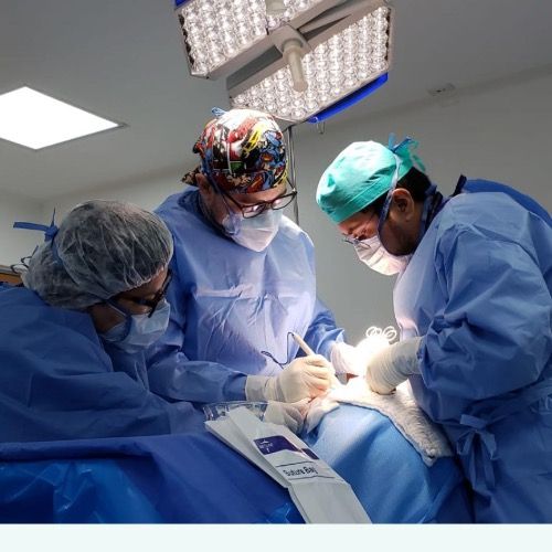 Dr. Samuel Limon Suarez