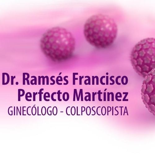 Dr. Ramses Francisco Perfecto Martínez