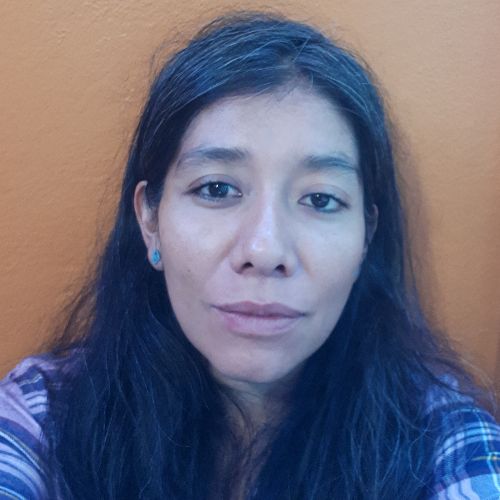 Dr. Laura Reyes Alcántara