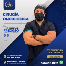 Dr. Luis Enrique Fregoso Arteaga