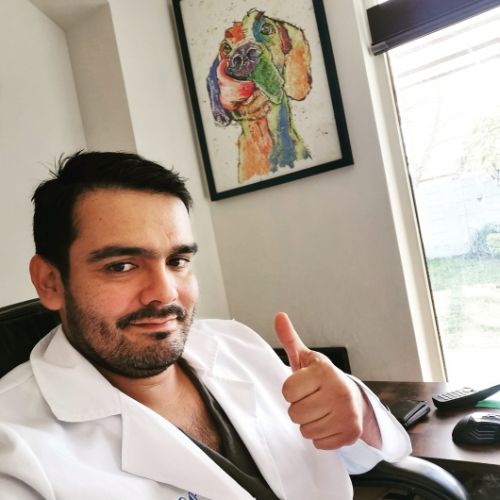 Dr. Dayel Gerardo Rosales Díaz Mirón