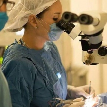 Dr. Melissa Castrejon Alcazar