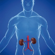 Alejandro Tepetate Bahena