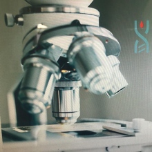 Dr. Yudali Miriam Kuyoc Acosta