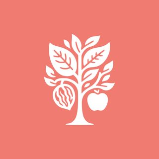 Dr. Andrea Olimpia Jiménez Siles