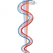 Fernando Rodriguez Vera