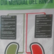 Ana Esmeralda Perez Alba