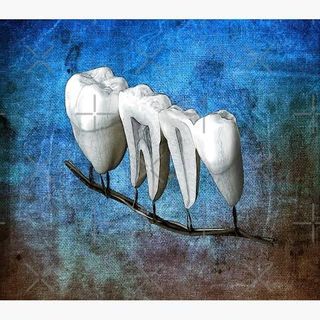 Dr. Rosa María Rodríguez Gómez