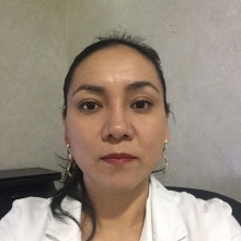 Dr. Aremi Castillo Dominguez