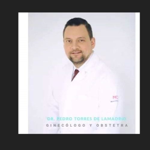 Dr. Pedro Torres De Lamadrid Torres De Lamadrid