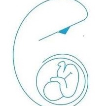 José Antonio Danel Beltrán