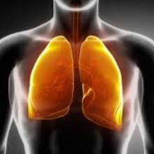 Dr. Hugo Arancibia Vargas