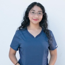 Dr. Ana Laura Arenas Flores