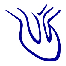 Dr. Romeo Tecualt Gómez