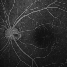 Dr. Victor Hugo Martinez Fierro