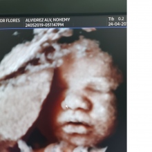 Dr. Victor Manuel Flores Ordonez