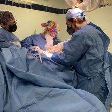 Dr. Luisa Fernanda Hernández Rivera