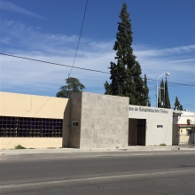 Dr. Ana Luisa Rodriguez Martinez