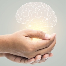 Dr. Jesús Javier Navarrete Gómez