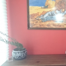 Dr. Daniel González