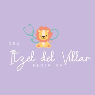 Dr. Itzel Karelli Del Villar Vega