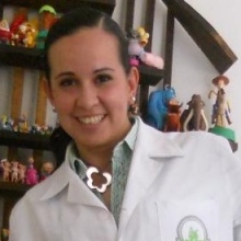 Dr. Karla Alejandra Santos Jasso
