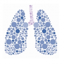 Dr. Diana Bautista Herrera