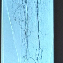 Dr. Erik Bravo Arriola