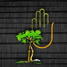 Dr. Jose Eduardo Magaña Chavez