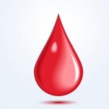 Etsel Camargo Romero