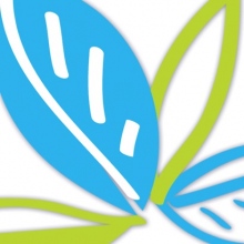 Dr. Kenia Bermúdez Téllez