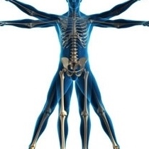 Oscar Gatica Morales