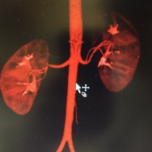 Javier Alberto Castillo Tapia