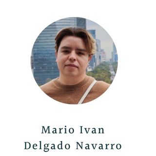 Dr. Mario Ivan Delgado Navarro